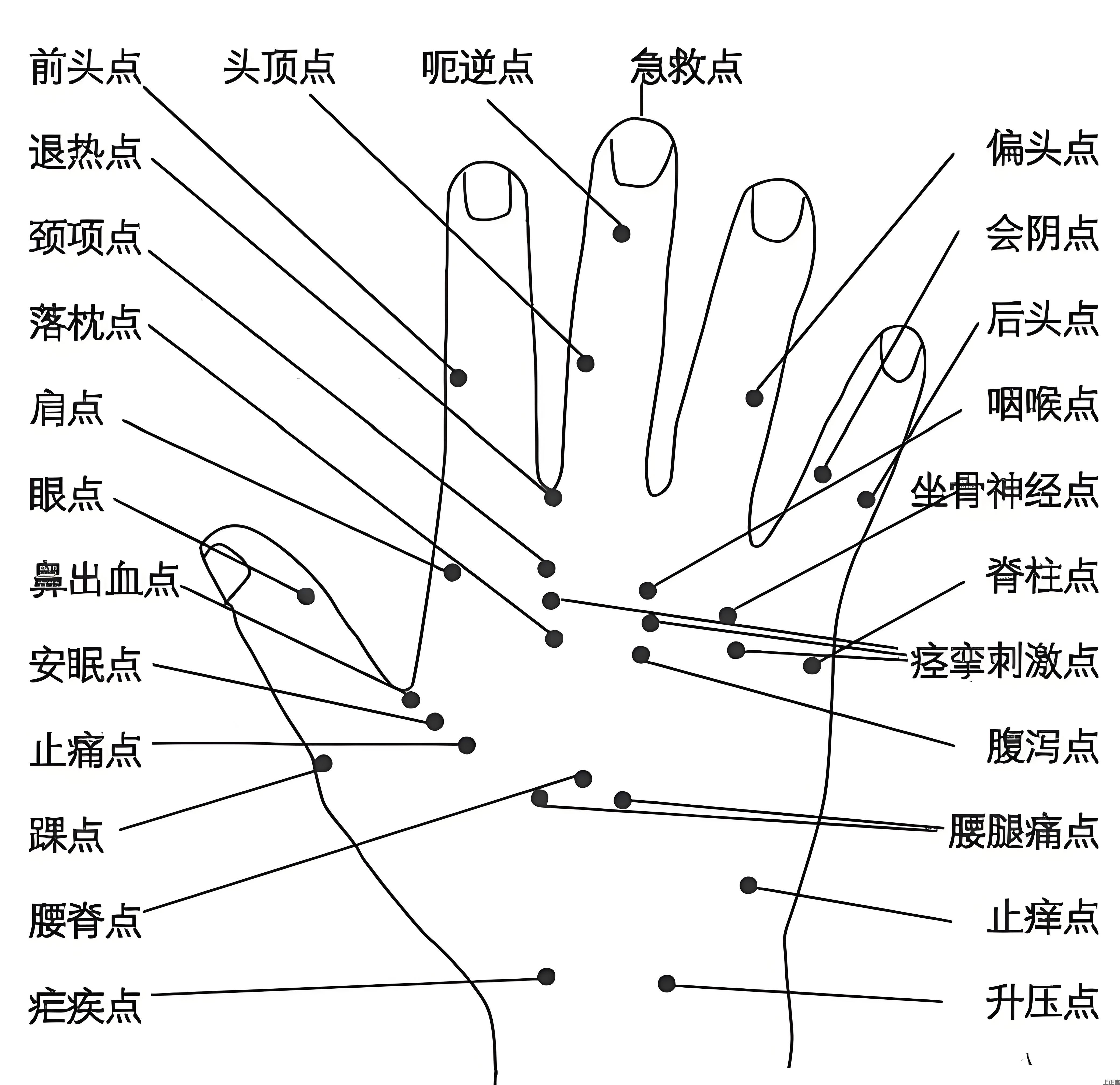 五行全息手诊：传统与现代的完美融合